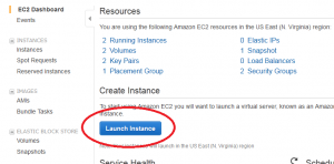 Click the blue button that says "Launch Instance".